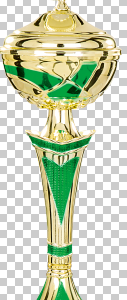 Pokal